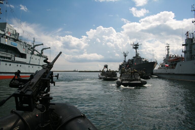 Wspólne ćwiczenia SEAL i FORMOZY